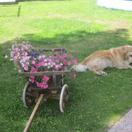 L'aida 公寓 卡纳泽伊