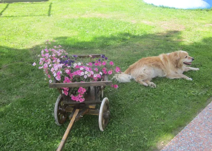 L'aida דירה קאנזיי